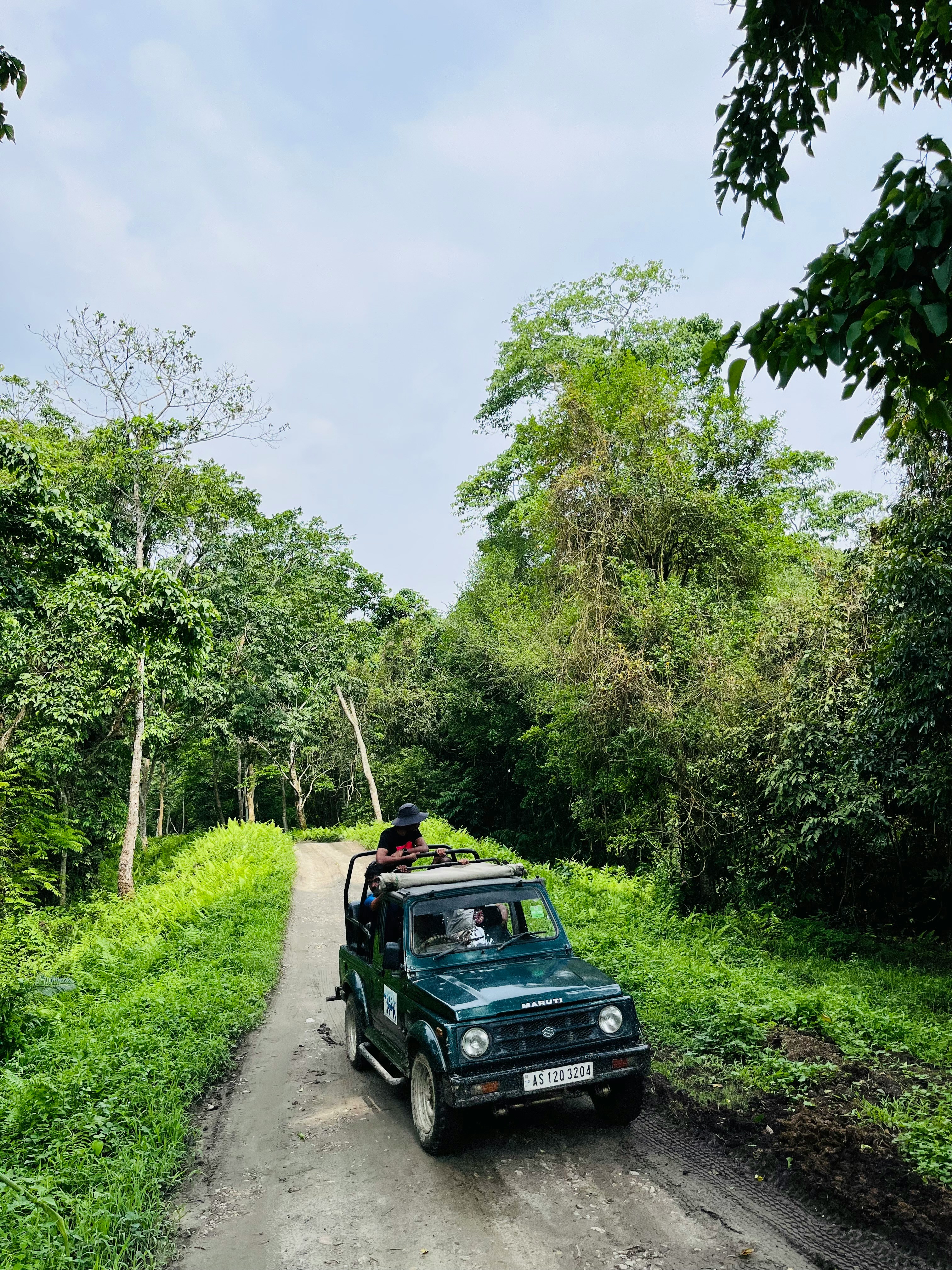 Wildlife Sanctuary